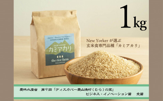 【幻の玄米】 自然栽培 カミアカリ 玄米 1kg|米 玄米 お米 自然 栽培 南アルプス 雪解け 肥料 希少 伊那 ふるさと納税【009-08】長野県伊那市9000米・パン玄米・雑穀米・もち米・餅