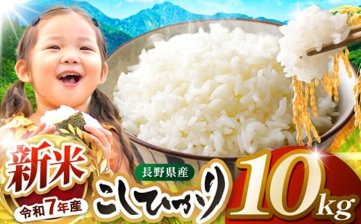 米 10kg  コシヒカリ 令和7年産 JA上伊那 新米 コシヒカリ 今ずり米 5kg 2袋 長野 上伊那産 お米 長野県産 こしひかり 10キロ 白米 精米 信州産 特産 産地直送 おすすめ こめ コメ おこめ  長野県