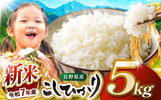 米 5kg  コシヒカリ 令和7年産 JA上伊那 新米 コシヒカリ 今ずり米 5kg  長野 上伊那産 お米 長野県産 こしひかり 5キロ 白米 精米 信州産 特産 産地直送 おすすめ こめ コメ おこめ  長野県 伊那