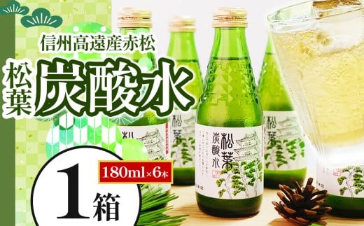 信州高遠産赤松:松葉炭酸水180ml×6本1箱 | 長野県 伊那市 松葉健康法 松葉 高遠 高遠里山の風 里山 再生 保全 松 松葉 炭酸 森林浴 信州 長野県産【010-70】長野県伊那市10000お茶・飲料その他 お