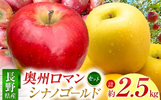 貯蔵りんご 奥州ロマン シナノゴールド 詰合せセット 2.5s 2月下旬発送予約品|りんご 林檎 フルーツ 果物 奥州ロマン シナノゴールド 詰め合わせ 貯蔵りんご 長野県 信州【011-21】長野