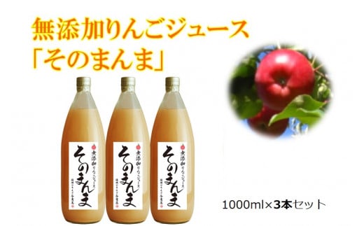 りんごジュース 無添加! 100% そのまんま りんごジュース 3本入り | 飲料 ジュース 果実飲料 りんご ジュース 無添加 ストレート 長野県 伊那市 【009-27】長野県伊那市9000お茶・飲料果汁・野