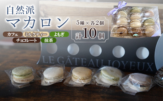 自然派マカロン 10個セット【1145147】山口県防府市12000菓子・スイーツ焼き菓子