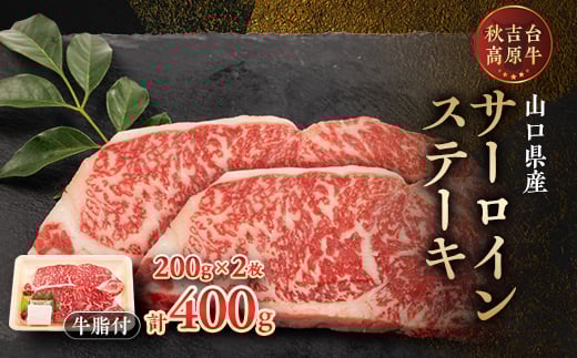 山口県産 秋吉台高原牛サーロインステーキ 200g×2枚_ ステーキ 牛肉 サーロイン サーロインステーキ 肉 にく ニク 牛 牛脂 秋吉台 焼肉 BBQ アウトドア キャンプ 贈答 ギフト プレゼント 冷