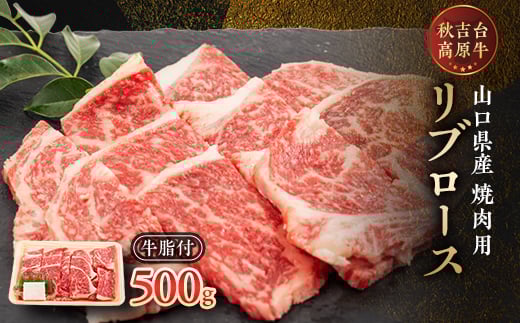 山口県産 秋吉台高原牛リブロース焼肉500g_ 牛肉 肉 和牛 リブロース 国産 焼肉 ビーフ 山口県 高原牛 秋吉台 交雑種 黒毛和種 無角和種 和牛間交雑種 冷凍 グルメ 贈答 ギフト 500g 産地直送