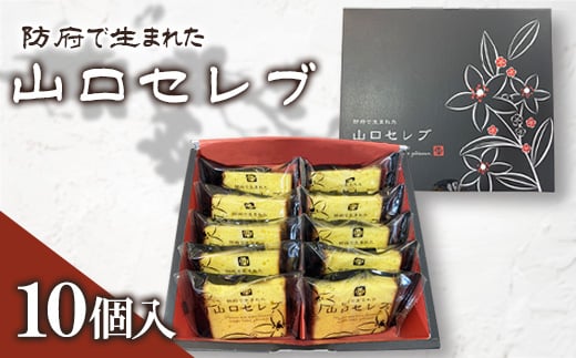 山口セレブ(10個入)【1604663】山口県防府市10000菓子・スイーツその他 洋菓子