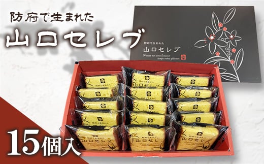 RZu(15)y1604664zRh{s15000َqEXC[c̑ mَq