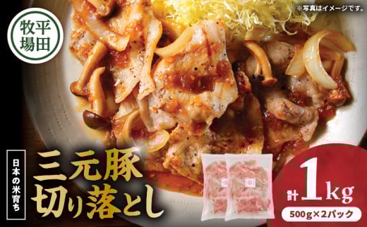 {̕Ĉ炿cq Oؐ؂藎Ƃ 500g×2pbNiv1kgj@T036-004kCϏqs14000ؓ