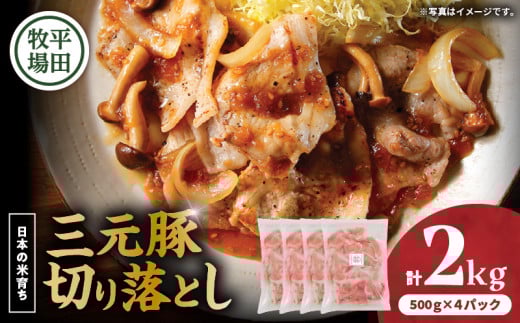 {̕Ĉ炿cq Oؐ؂藎Ƃ 500g×4pbNiv2kgj@T036-005kCϏqs23000ؓ