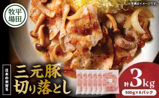 {̕Ĉ炿cq Oؐ؂藎Ƃ 500g×6pbNiv3kgj@T036-006kCϏqs31000ؓ