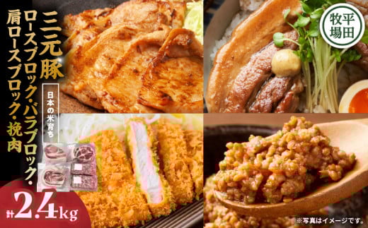 日本の米育ち平田牧場 三元豚ロースブロック・バラブロック・肩ロースブロック・挽肉 各600g(計2.4kg) T036-011北海道苫小牧市31000肉豚肉
