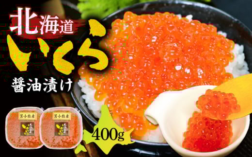 y}}T喼XzkCݖЂ 400g@T020-005kCϏqs26000ECY