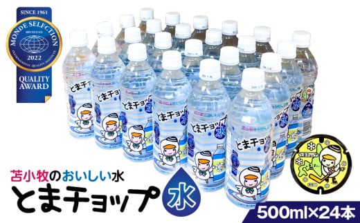 yƂ܃`bv 500ml×24{ZbgzhZNV2022܎ Ϗq@T042-010kCϏqs15000EE~lEH[^[