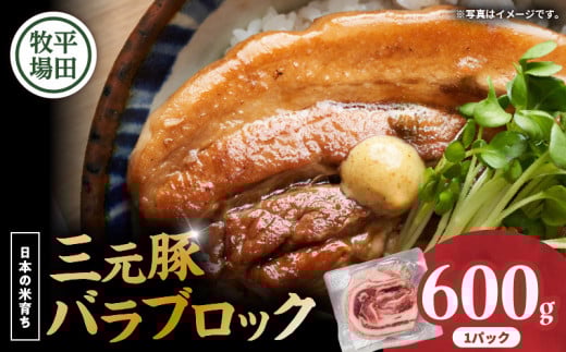 【平田牧場】三元豚バラブロック 600g T036-015北海道苫小牧市11000肉豚肉