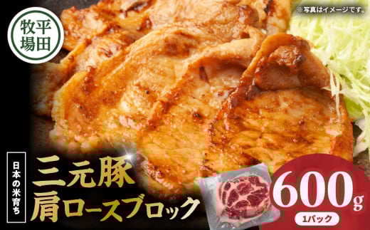 【平田牧場】三元豚肩ロースブロック 600g T036-016北海道苫小牧市13000肉豚肉