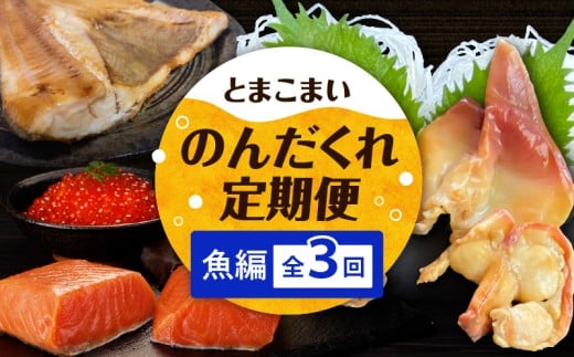 【全3回】とまこまいのんだくれ定期便〜魚編〜 T000-T06-02北海道苫小牧市36000魚介・海産物鮮魚