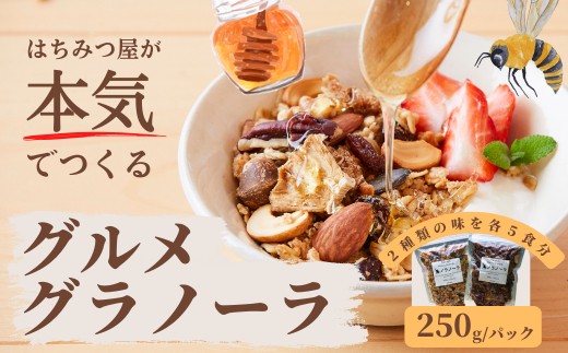 グラノーラ 無添加 国産はちみつ使用 【ノラノーラ ミケ&クロ】ココナッツ・ショコラ 簡易包装 2個セット(250g×2)_A-MT-A17A岡山県西粟倉村12000鍋セット・総菜・加工食品その他 鍋セット・総