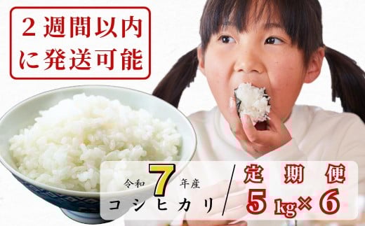 sߘa7NY2TԈȓɔty6ցz 5kg ߘa7NY RVqJ R 킭猹K-K-af-CEFARq96000āEp
