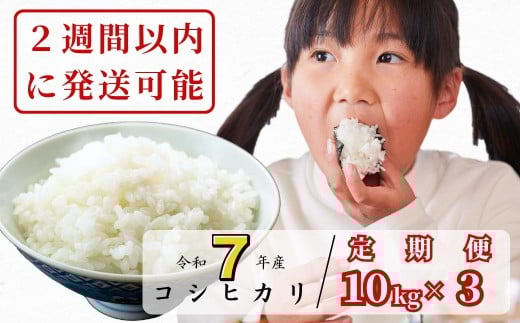 《令和7年産2週間以内に発送》【3回定期便】白米 10kg 令和7年産 コシヒカリ 岡山 あわくら源流米 K-ag-BEFA岡山県西粟倉村96000米・パン白米