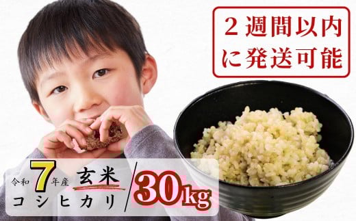 《令和7年産2週間以内に発送可能》玄米 30kg 令和7年産 コシヒカリ 岡山 あわくら源流米 K-ad-AEFA岡山県西粟倉村84000米・パン白米
