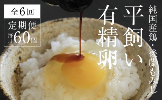 【全6回定期便】平飼い有精卵 60個《西粟倉村》【株式会社点々】t-SS-CpDA岡山県西粟倉村161000卵・乳製品卵(鶏、烏骨鶏等)