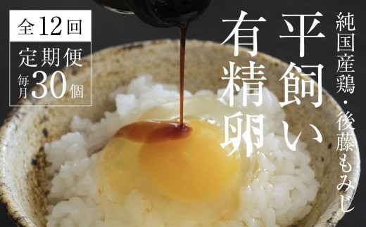 【全12回定期便】平飼い有精卵 30個《西粟倉村》【株式会社点々】t-SS-DnDA岡山県西粟倉村161000卵・乳製品卵(鶏、烏骨鶏等)