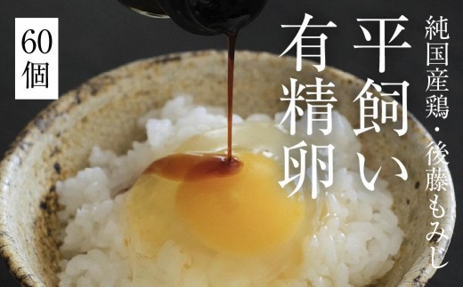 平飼い有精卵 60個《西粟倉村》【株式会社点々】t-SS-ApDA岡山県西粟倉村29000卵・乳製品卵(鶏、烏骨鶏等)