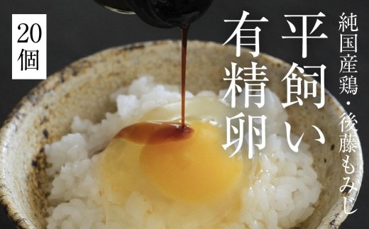 平飼い有精卵 20個《西粟倉村》【株式会社点々】t-SS-AmDA岡山県西粟倉村10000卵・乳製品卵(鶏、烏骨鶏等)