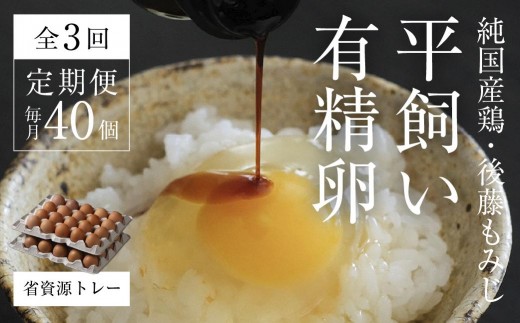 【全3回定期便】平飼い有精卵 省資源トレー 40個 《西粟倉村》【株式会社点々】t-SS-BqDA岡山県西粟倉村42000卵・乳製品卵(鶏、烏骨鶏等)