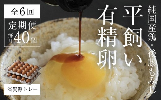 【全6回定期便】平飼い有精卵 省資源トレー 40個 《西粟倉村》【株式会社点々】t-SS-CqDA岡山県西粟倉村84000卵・乳製品卵(鶏、烏骨鶏等)