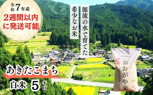 sߘa7NY2TԈȓɔt 5kg ߘa7NY ܂ R uāvYg G-bf-AEFARq15000āEp