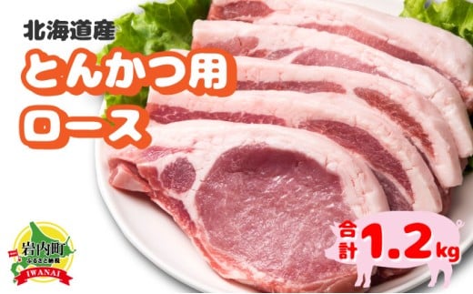 北海道産豚肉・とんかつ用ロース1.2kg(120g×10枚) F21H-429北海道岩内町12000肉豚肉