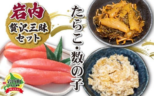 炱E̎qґOZbg F21H-576kC18000ECYqȆ