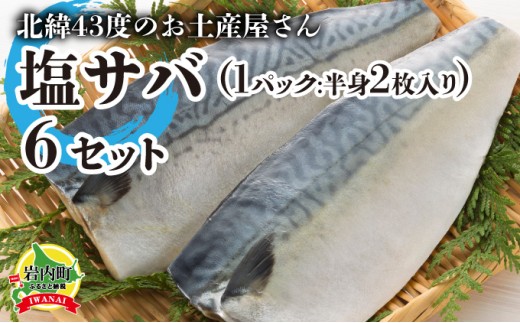 北緯43度のお土産屋さん 塩サバ×6セット  F21H-446北海道岩内町16000魚介・海産物貝類