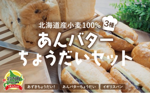 あんバターちょうだいセット 北海道産 小麦 100% パン 詰め合わせ 小豆  F21H-538北海道岩内町16000米・パンパン