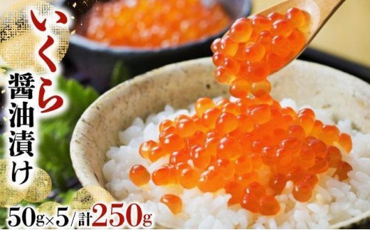いくら醤油漬け 250g(50g×5)【2026年1月発送】いくら 海鮮 北海道 イクラ 冷凍 醤油漬け 海産物 045-a008-01北海道岩内町18000魚介・海産物いくら