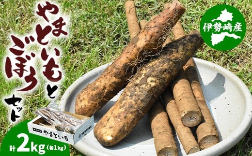 伊勢崎市産泥付きやまといも・ごぼう詰め合わせセット ※北海道・沖縄・離島への配送不可群馬県伊勢崎市7000菓子・スイーツその他 和菓子