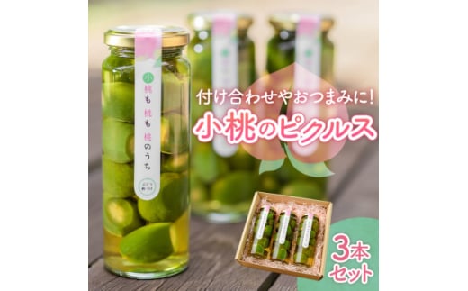 山梨県産もものピクルス「小桃も桃も桃のうち」3本セット 前菜やワインのお供に!食卓が華やぐ♪【1038299】山梨県山梨市12000鍋セット・総菜・加工食品漬物・梅干・キムチ