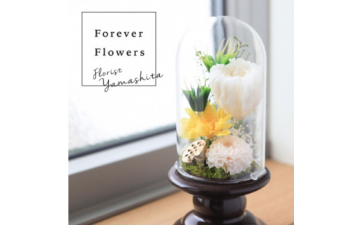 vU[uht[  KXh[uÂvy1271167zRRs18000ߗށEiEH|ȋ iEH|i