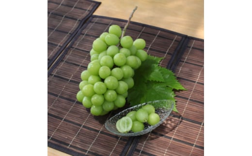 ӂ邳Ɣ[Ł2026Ns\ I! RRsY VC}XJbg 2kg(3`4[)y1283958zRRs22000ʕEt[c}XJbgEԂǂ