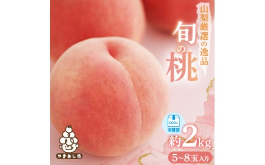 <2026年発送 先行受付>山梨厳選旬の桃約2kg【1220381】山梨県山梨市13000果物・フルーツもも・すもも