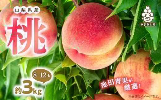 2026N st  3kg (8ʁ`12) I ! rcʂ y1280521zRRs17000ʕEt[cE