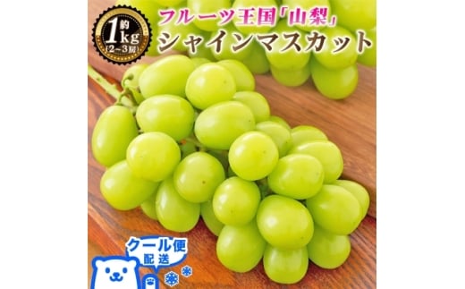 2026年発送 山梨県産 シャインマスカット 約1kg(2〜3房) 山梨が誇る人気果物 熟練農家厳選【1272524】山梨県山梨市10000果物・フルーツマスカット・ぶどう