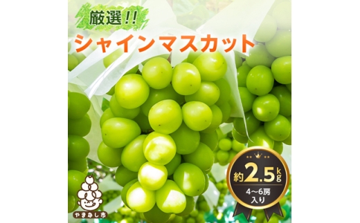 2026年発送 山梨県産 シャインマスカット 約2.5kg(4〜6房) 山梨が誇る 人気果物【1272527】山梨県山梨市25000果物・フルーツマスカット・ぶどう