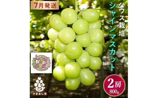 <2026年先行予約>ハウス栽培7月出荷シャインマスカット(2房約800g)世界農業遺産認定地特産【1296283】山梨県山梨市20000果物・フルーツマスカット・ぶどう