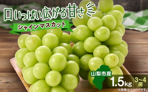<2026年先行受付>やみつきシャインマスカット 1.5kg(3〜4房)【1304377】山梨県山梨市15000果物・フルーツマスカット・ぶどう