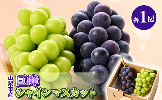 2026NstlC!EVC}XJbgHה׃Zbg ӂ邳Ɣ[ @y1304385zRRs11000ʕEt[c}XJbgEԂǂ