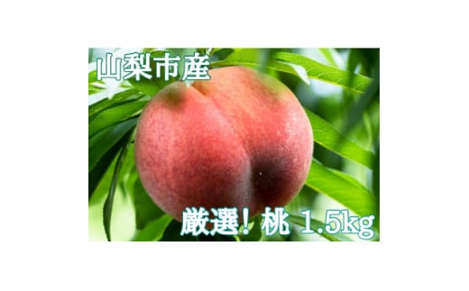 <2026年先行受付>厳選!山梨市産 桃 約1.5kg(4〜7玉)【1305782】山梨県山梨市20000果物・フルーツもも・すもも