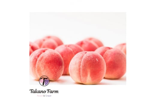 <2026年先行予約>完熟収穫桃 約3kg 山梨県産 自社農園産直 Takano Farm【1115746】山梨県山梨市17000果物・フルーツもも・すもも