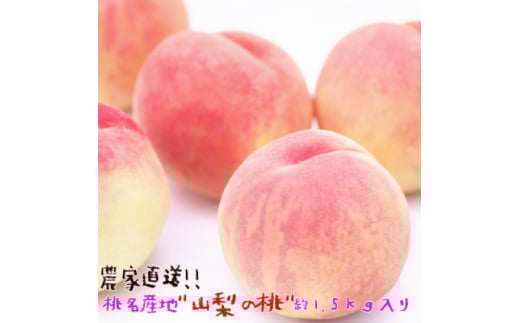《2026年 先行予約》農家直送 桃名産地 山梨の桃 秀品 約1.5kg ふるさと納税【1292060】山梨県山梨市14000果物・フルーツもも・すもも